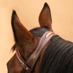 Horse Riding Crossed-Noseband Leather Bridle For Horse And Pony 580 -Outdoor Sports Store k778f073d82b694e019015e253781d159