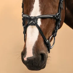 Horse Riding Crossed-Noseband Leather Bridle For Horse And Pony 580 -Outdoor Sports Store k8026f8520836064617a3cab0ca9b7eef