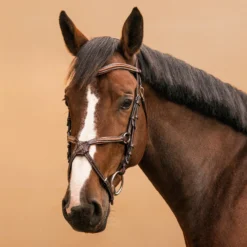 Horse Riding Crossed-Noseband Leather Bridle For Horse And Pony 580 -Outdoor Sports Store kb739e3538586e672964b0a1550e1440c