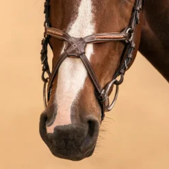 Horse Riding Crossed-Noseband Leather Bridle For Horse And Pony 580 -Outdoor Sports Store kf1c49f26410d76a5cb44fd4c7bcc6c0a