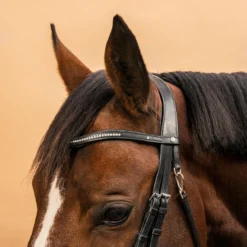 Horse Riding Crossed-Noseband Leather Bridle For Horse And Pony 580 -Outdoor Sports Store kfac4c80512ac0a22cf0fbd2e60ebffd0